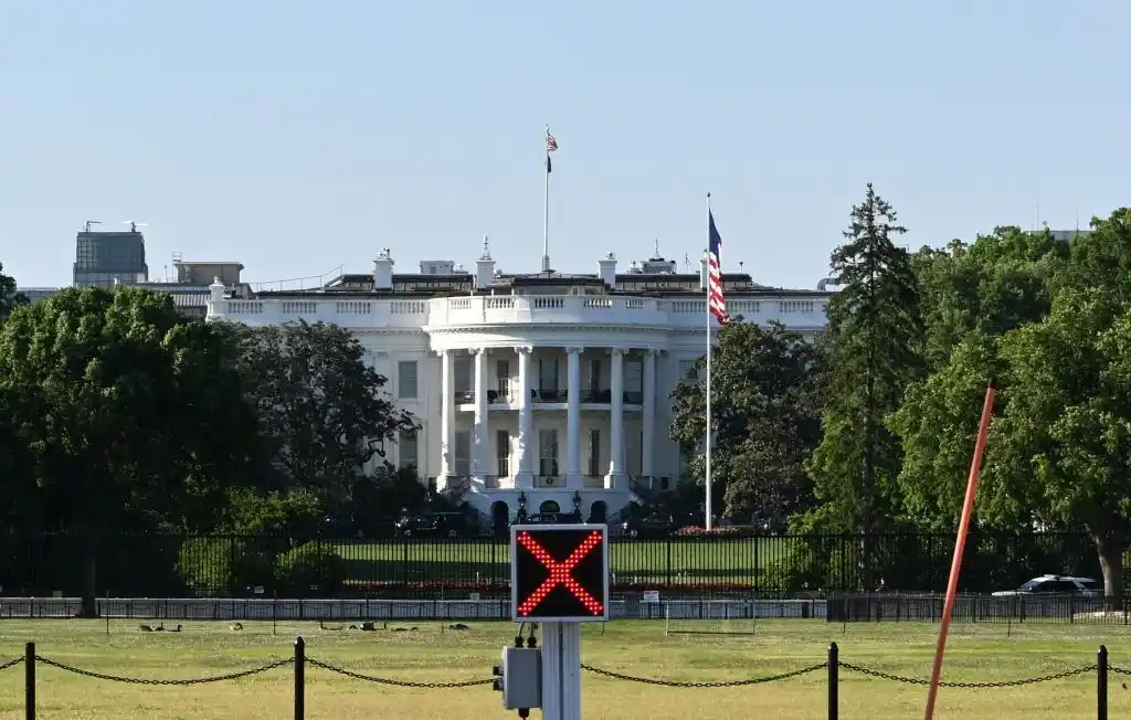 How One AI Model Found 10,000 Vulnerabilities and Changed U.S. Policy